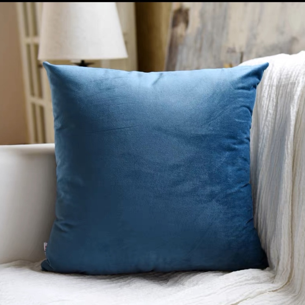 Blue velvet cushion with Ikea FJADRAR inner cushion 20”